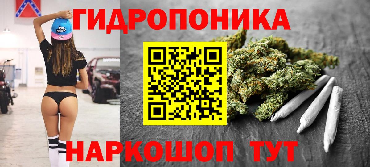 Каннабис ГИДРОПОН  Вход с VPN  Конопля AK-47  Северск  Каннабис OG Kush 
