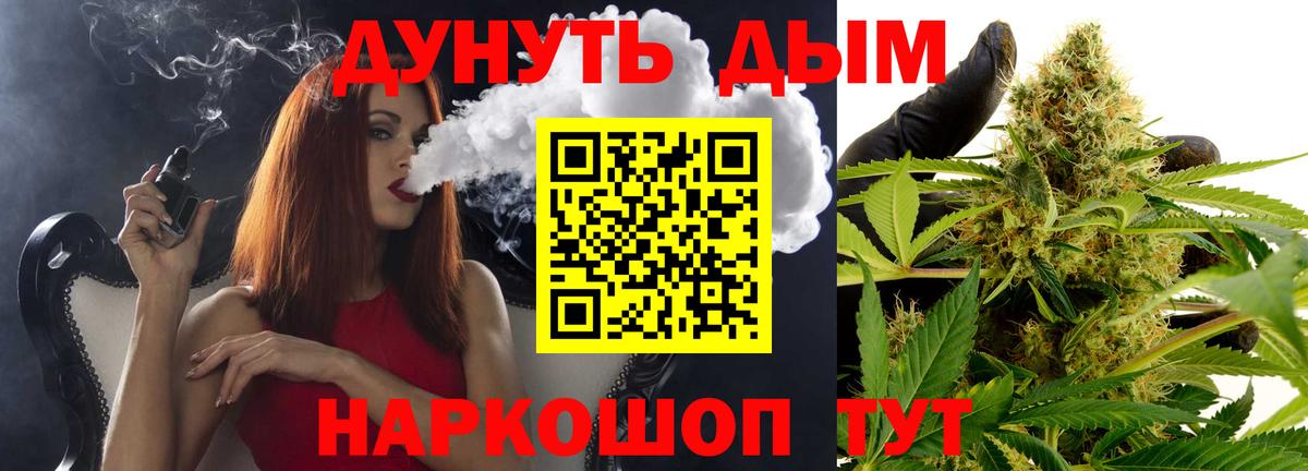 Каннабис планчик Северск